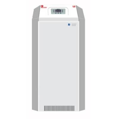 Напольный газовый котел Лемакс CLEVER-55 (105238 )